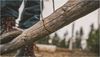 Picture of Custer Saw